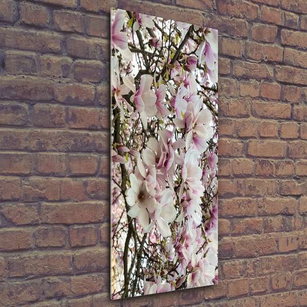 Bild auf Acrylglas vertikal Magnolienblüten