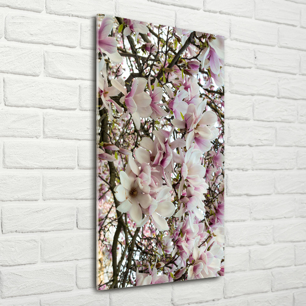 Bild auf Acrylglas vertikal Magnolienblüten