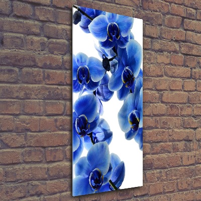 Plexiglasbilder vertikal Blaue Orchidee