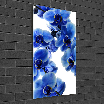 Plexiglasbilder vertikal Blaue Orchidee