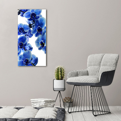 Plexiglasbilder vertikal Blaue Orchidee