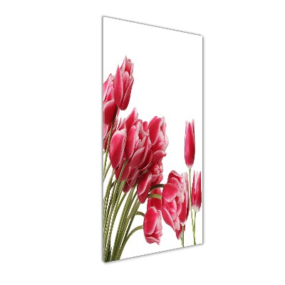 Plexiglasbilder vertikal Rote Tulpen