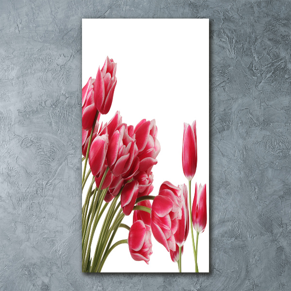 Plexiglasbilder vertikal Rote Tulpen