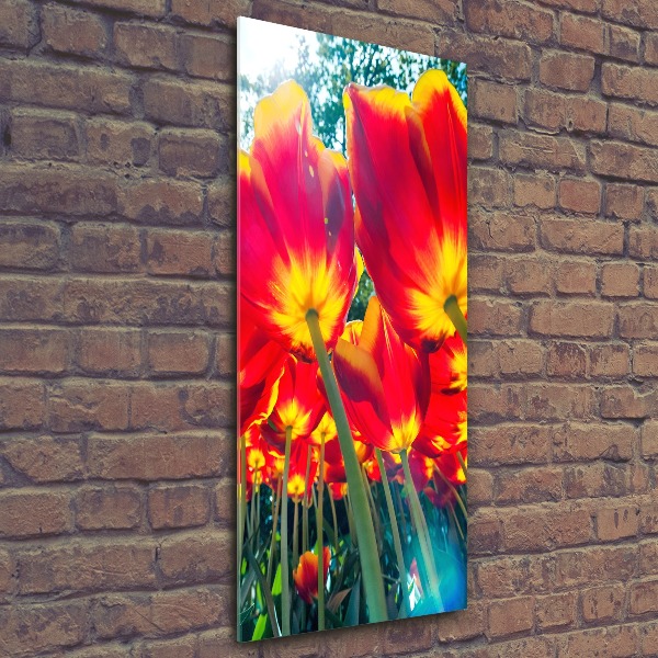 Modernes Acrylbild vertikal Rote Tulpen