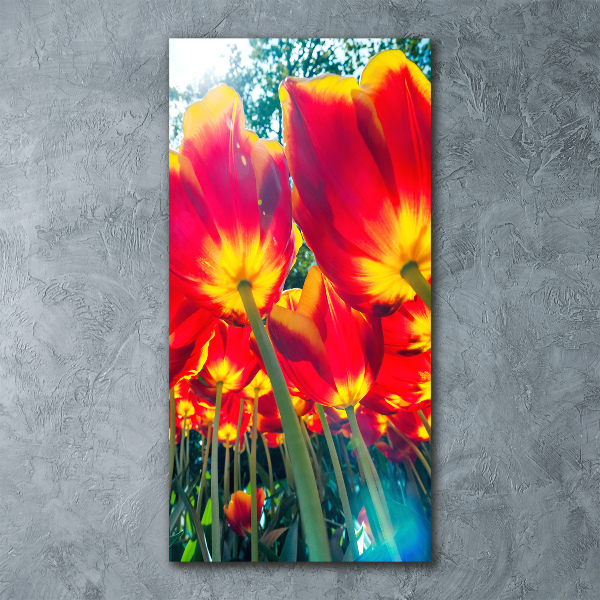 Modernes Acrylbild vertikal Rote Tulpen