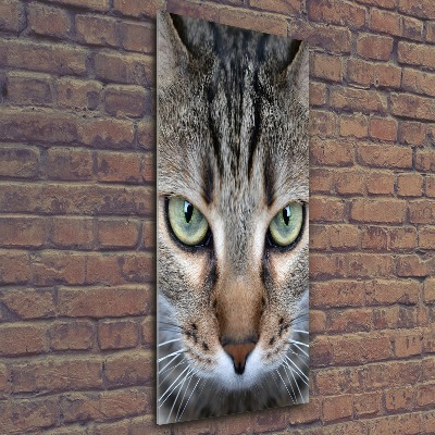 Modernes Acrylbild vertikal Katzenaugen