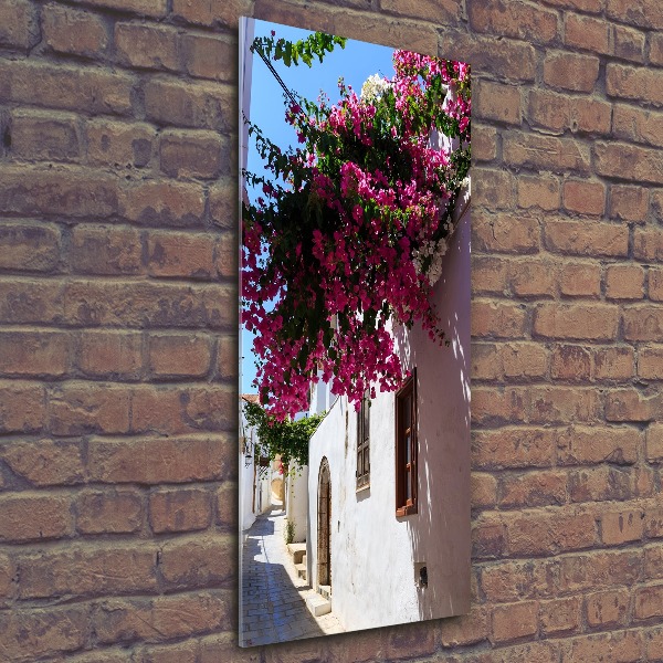 Bild auf Acrylglas vertikal Rhodos, Griechenland