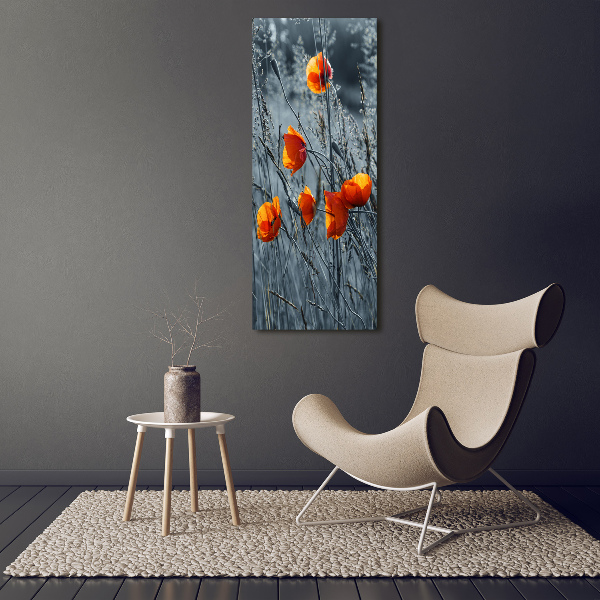 Bild auf Acrylglas vertikal Wildmohn