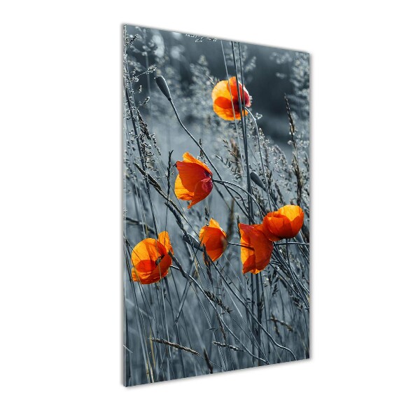 Bild auf Acrylglas vertikal Wildmohn