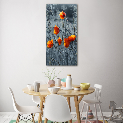 Bild auf Acrylglas vertikal Wildmohn