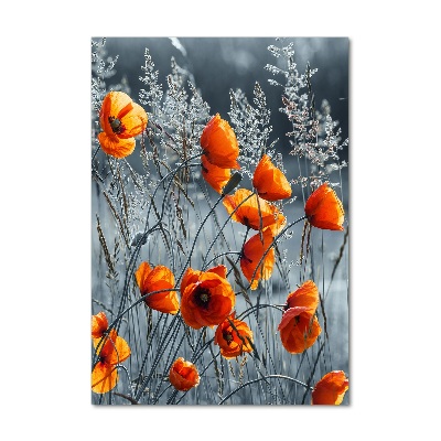 Bild auf Acrylglas vertikal Wildmohn