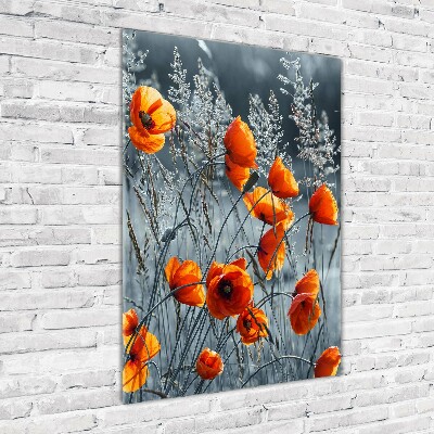 Bild auf Acrylglas vertikal Wildmohn