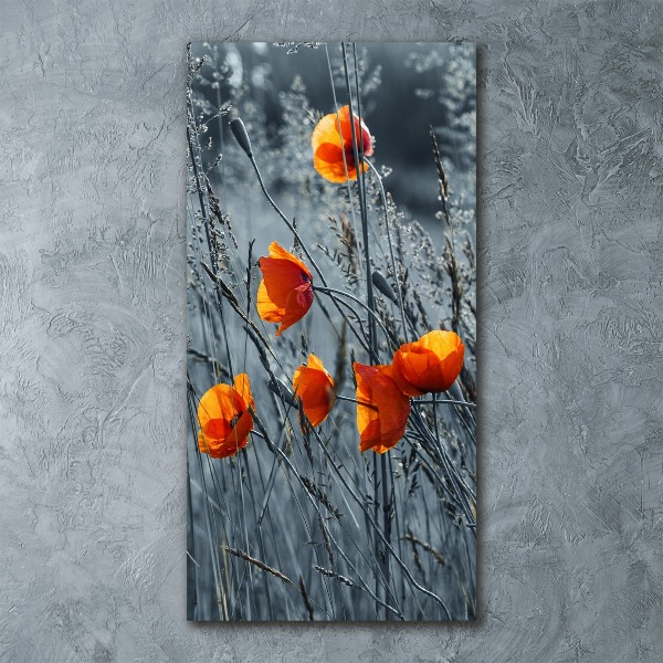 Bild auf Acrylglas vertikal Wildmohn