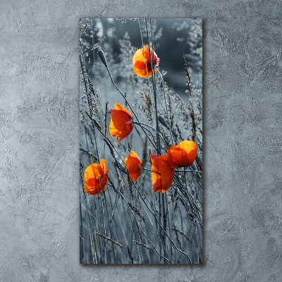 Bild auf Acrylglas vertikal Wildmohn