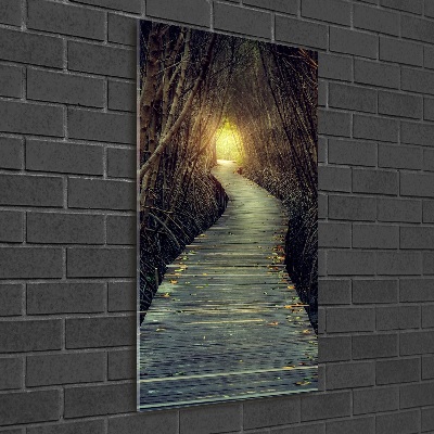 Bild auf Acrylglas vertikal Pfad im Wald