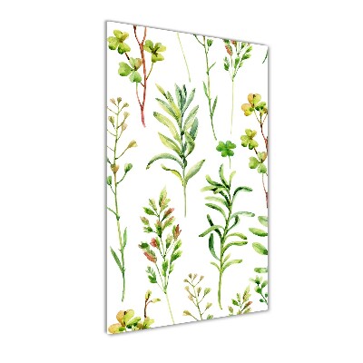 Bild auf Acrylglas vertikal Unkräuter und Kräuter