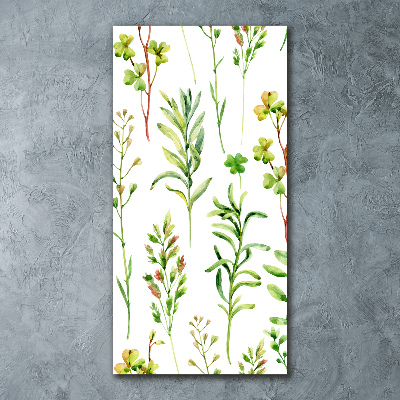 Bild auf Acrylglas vertikal Unkräuter und Kräuter