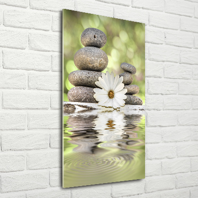 Bild auf Acrylglas vertikal Steine ​​und Blumen