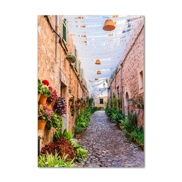 Bild auf Acrylglas vertikal Mallorca, Spanien