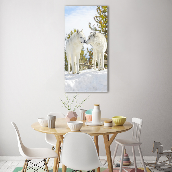 Plexiglasbilder vertikal Zwei weiße Wölfe