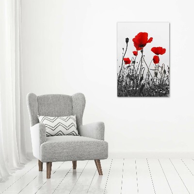 Modernes Acrylbild vertikal Wildmohn