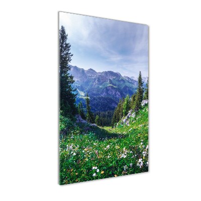 Plexiglasbilder vertikal Alpen