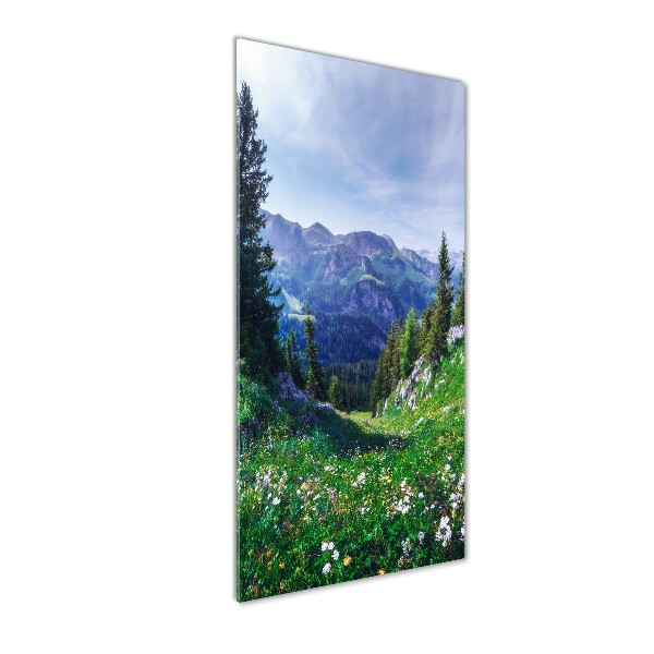 Plexiglasbilder vertikal Alpen