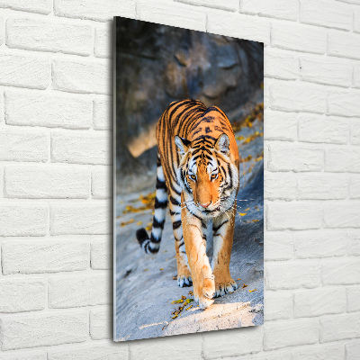 Modernes Acrylbild vertikal Tiger