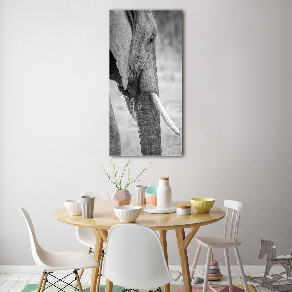 Plexiglasbilder vertikal Elefant