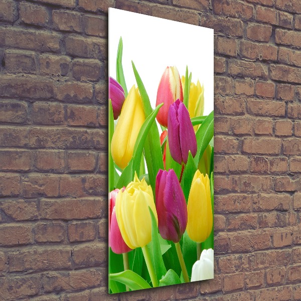 Bild auf Acrylglas vertikal Bunte Tulpen