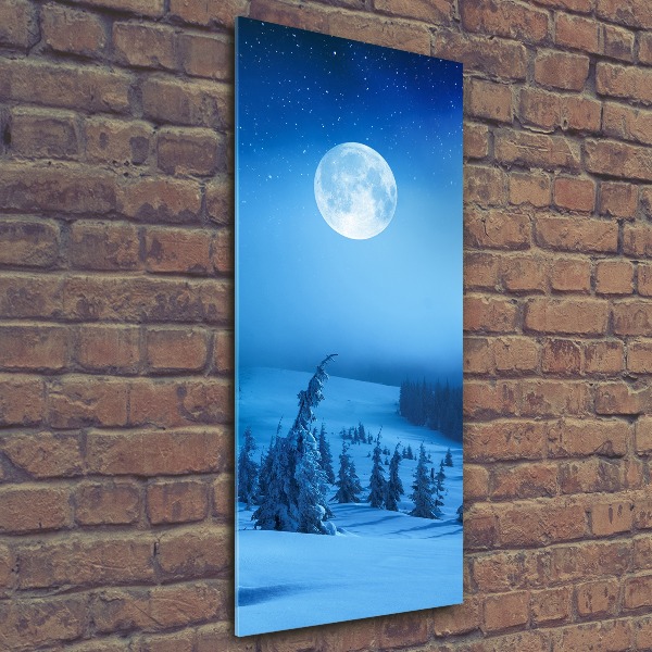 Bild auf Acrylglas vertikal Vollmond