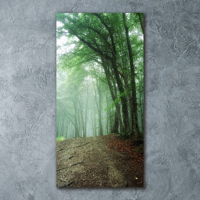 Plexiglasbilder vertikal Nebel im Wald