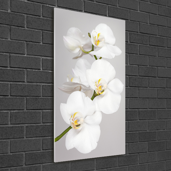 Modernes Acrylbild vertikal Weiße Orchidee
