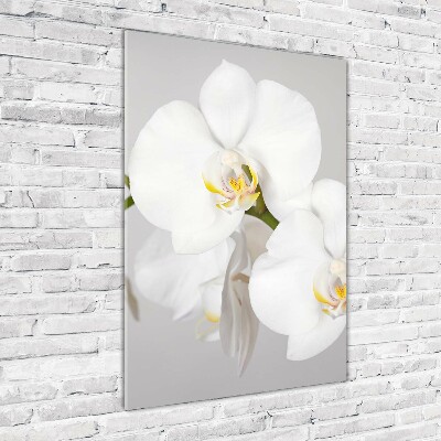 Modernes Acrylbild vertikal Weiße Orchidee