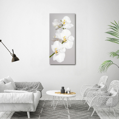 Modernes Acrylbild vertikal Weiße Orchidee