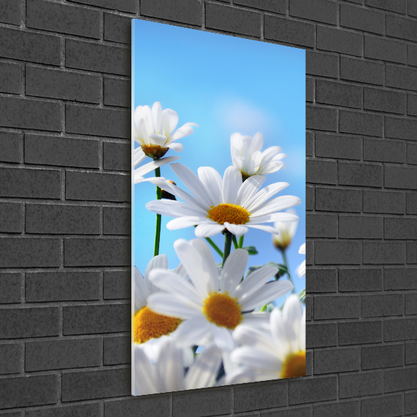 Acrylbild vertikal Gänseblümchen