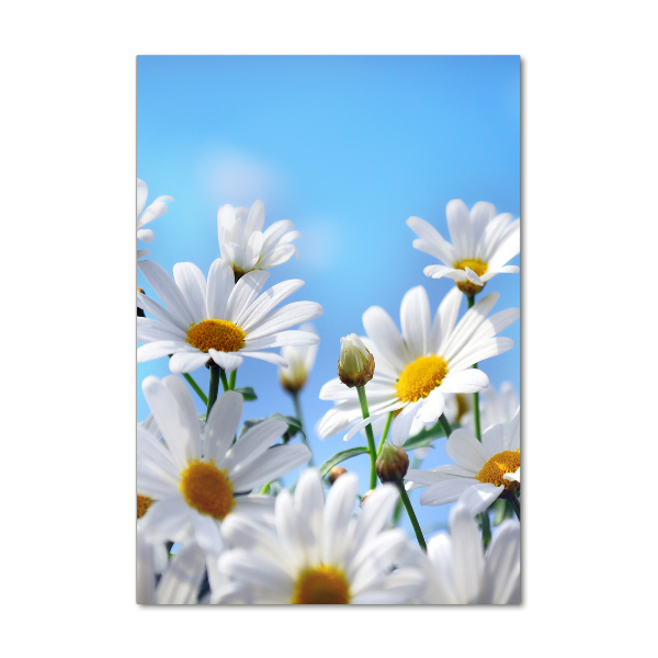 Acrylbild vertikal Gänseblümchen