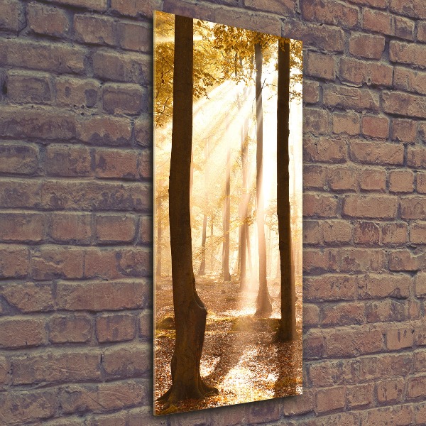 Bild auf Acrylglas vertikal Wald im Herbst