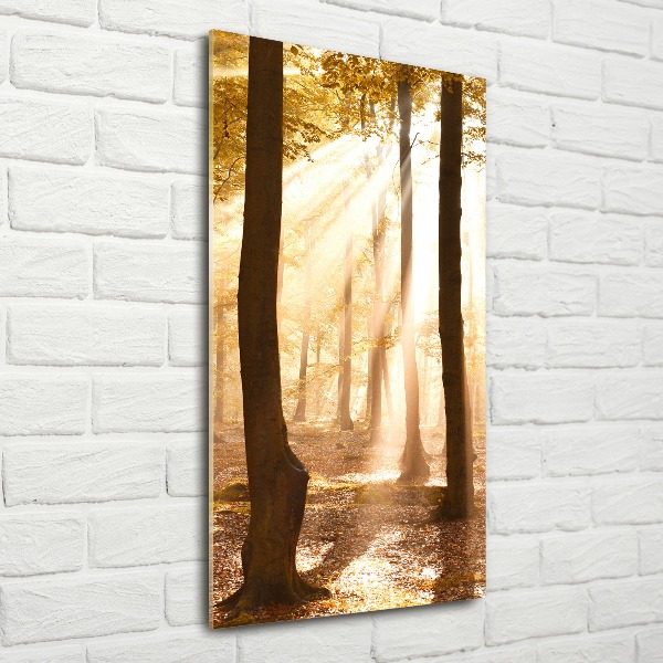 Bild auf Acrylglas vertikal Wald im Herbst