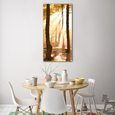 Bild auf Acrylglas vertikal Wald im Herbst