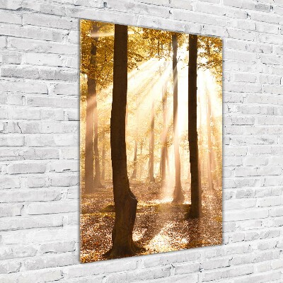 Bild auf Acrylglas vertikal Wald im Herbst