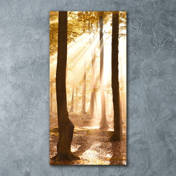 Bild auf Acrylglas vertikal Wald im Herbst