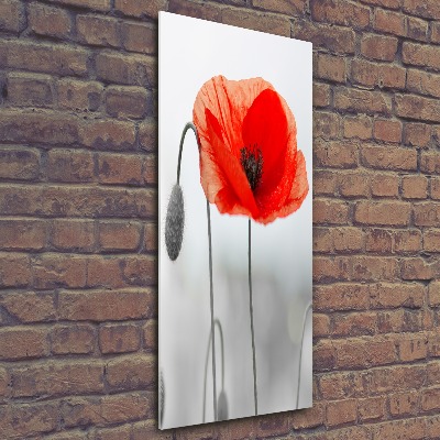 Plexiglasbilder vertikal Wildmohn