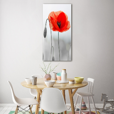 Plexiglasbilder vertikal Wildmohn