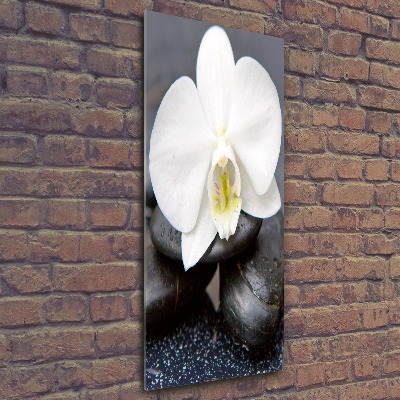 Modernes Acrylbild vertikal Orchidee und Steine
