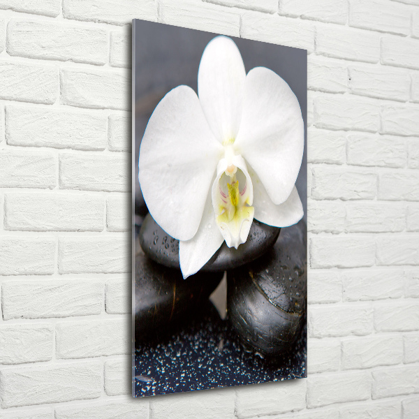 Modernes Acrylbild vertikal Orchidee und Steine