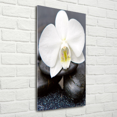 Modernes Acrylbild vertikal Orchidee und Steine