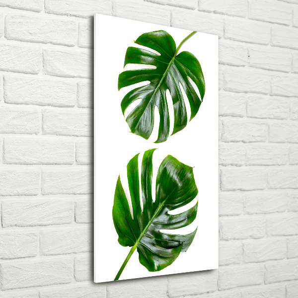 Bild auf Acrylglas vertikal Monstera