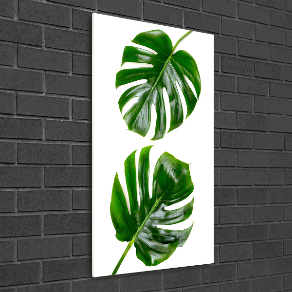 Bild auf Acrylglas vertikal Monstera
