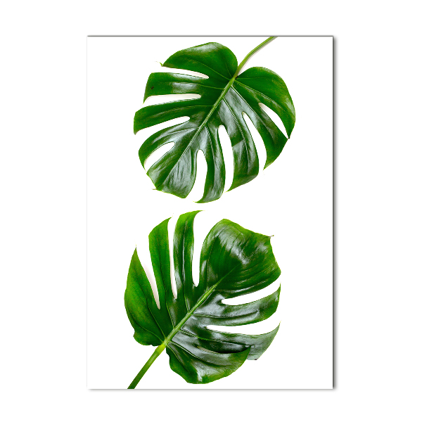 Bild auf Acrylglas vertikal Monstera